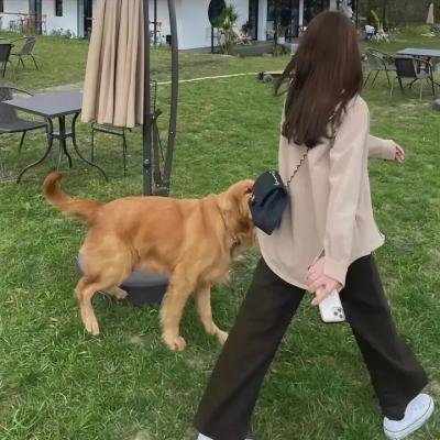 无人出名